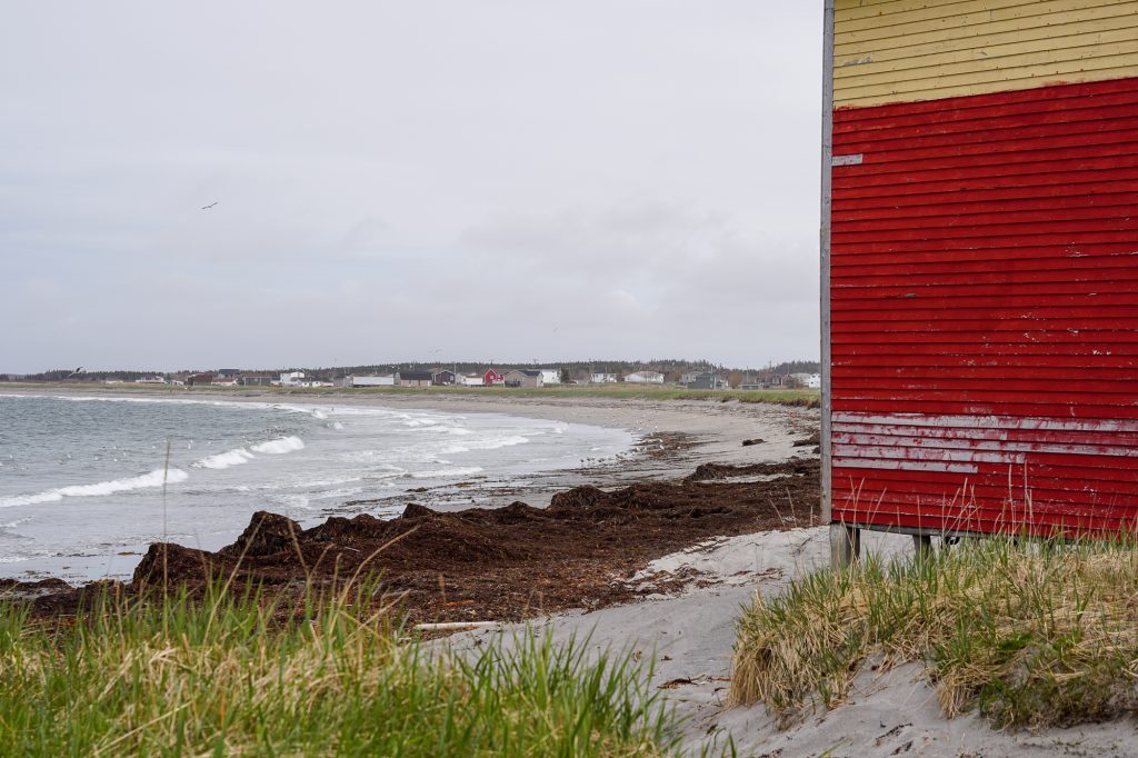 Plage de Musgrave Harbour