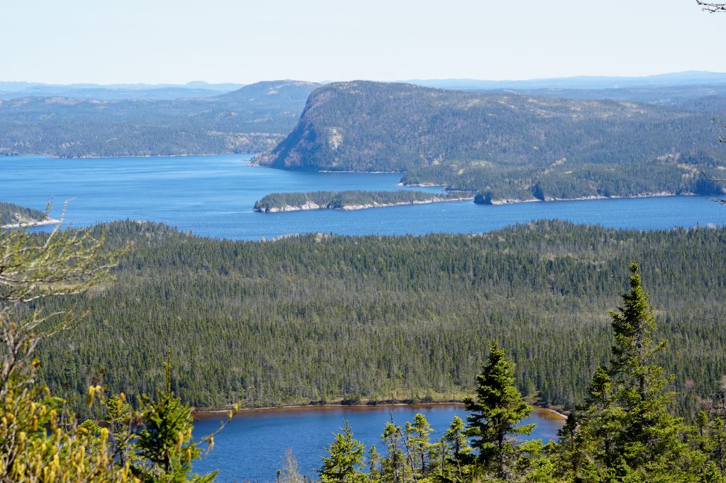 Vue du parc national Terra Nova