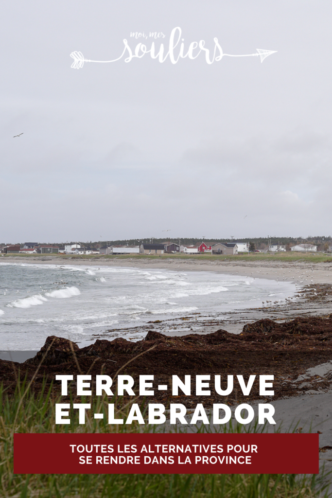 Toutes les alternatives pour se rendre dans la province Terre-Neuve-et-Labrador