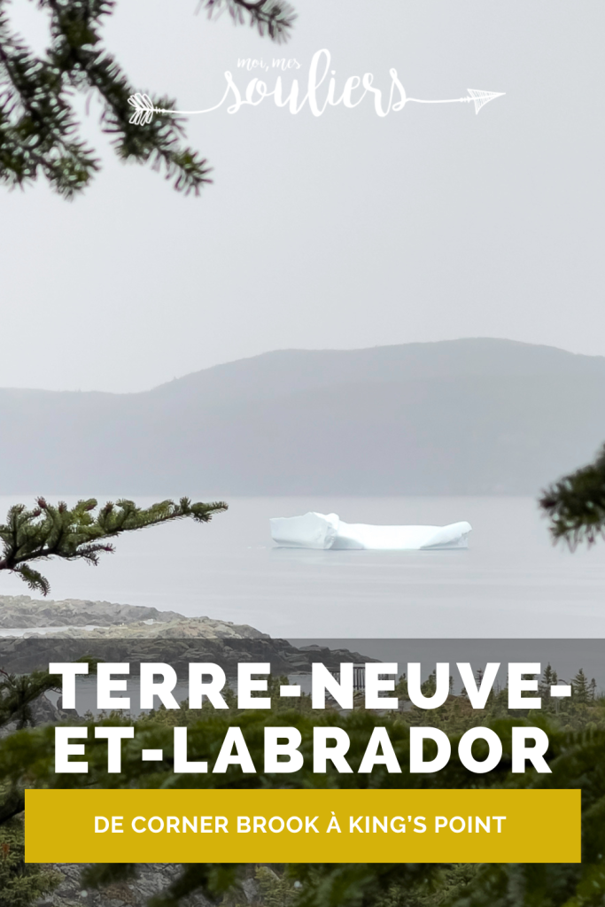 Exploration de Terre-Neuve-et-Labrador, de Corner Brooks à King's Point