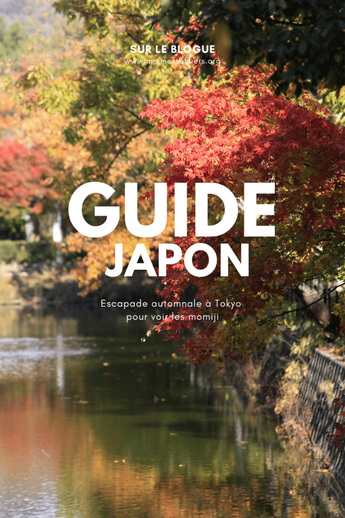 Guide pour voir les momiji en automne à Tokyo au Japon