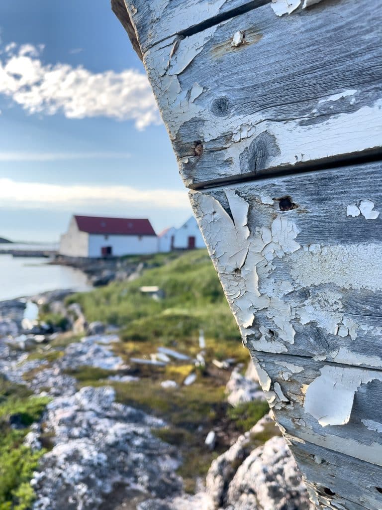 Vue rapprochée du bateau abandonné