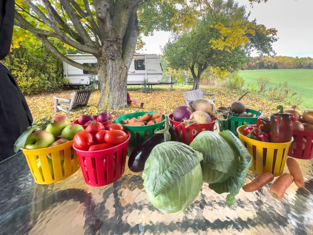 Légumes de la récolte Manger Saison