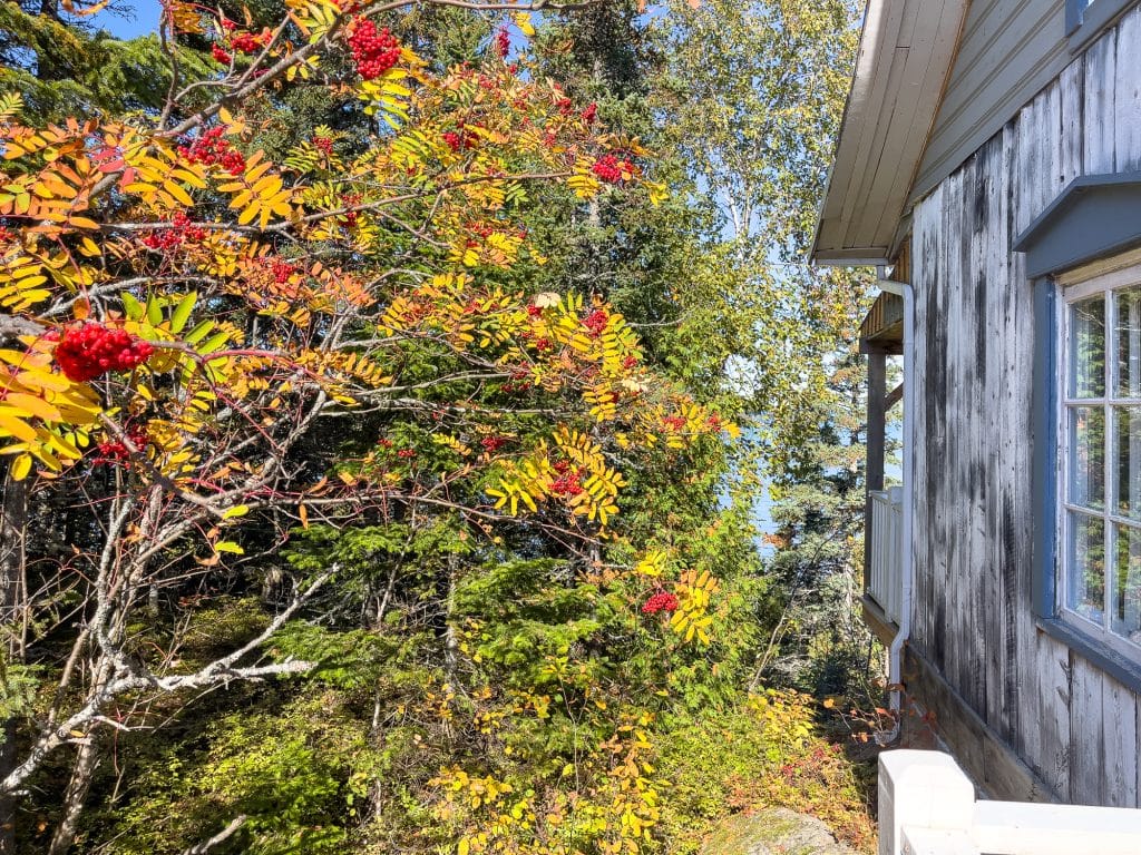 Vieux Loup de mer chalets hôteliers en automne