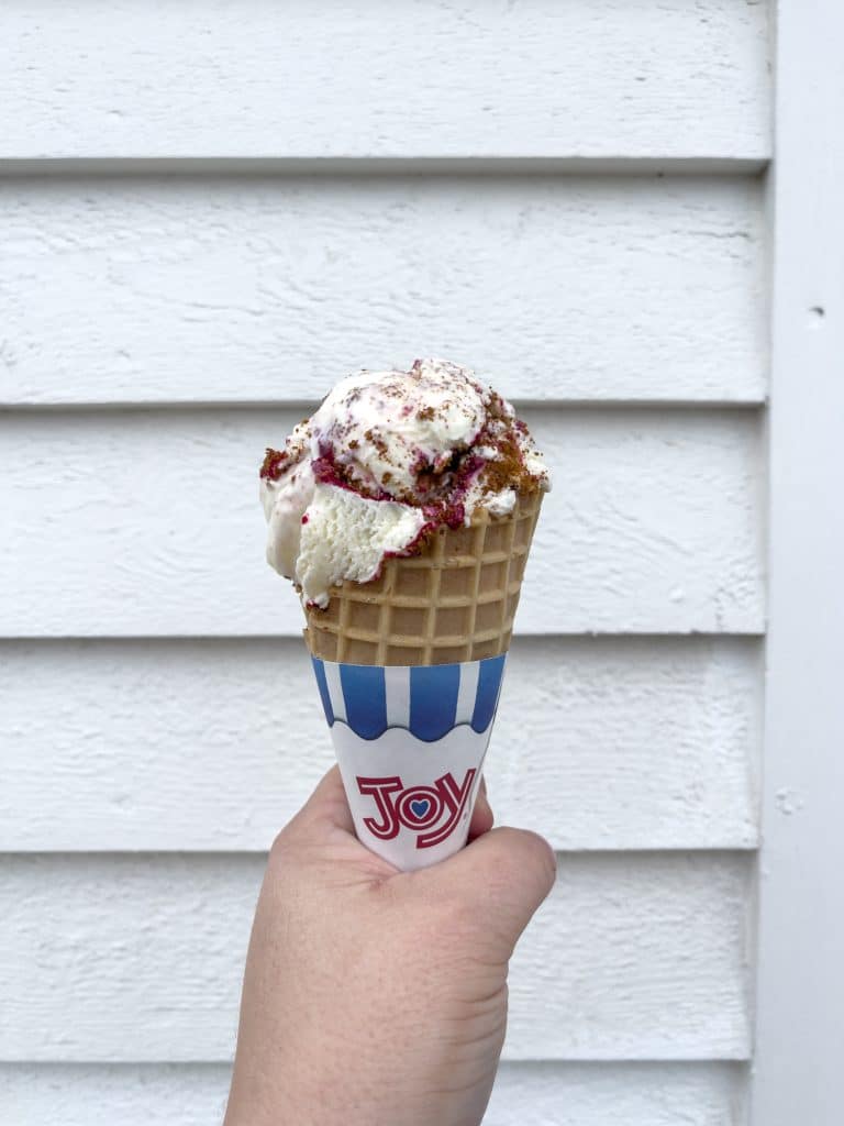 Cornet de crème glacée à l'airelle de Growler's ice Cream à Fogo Island