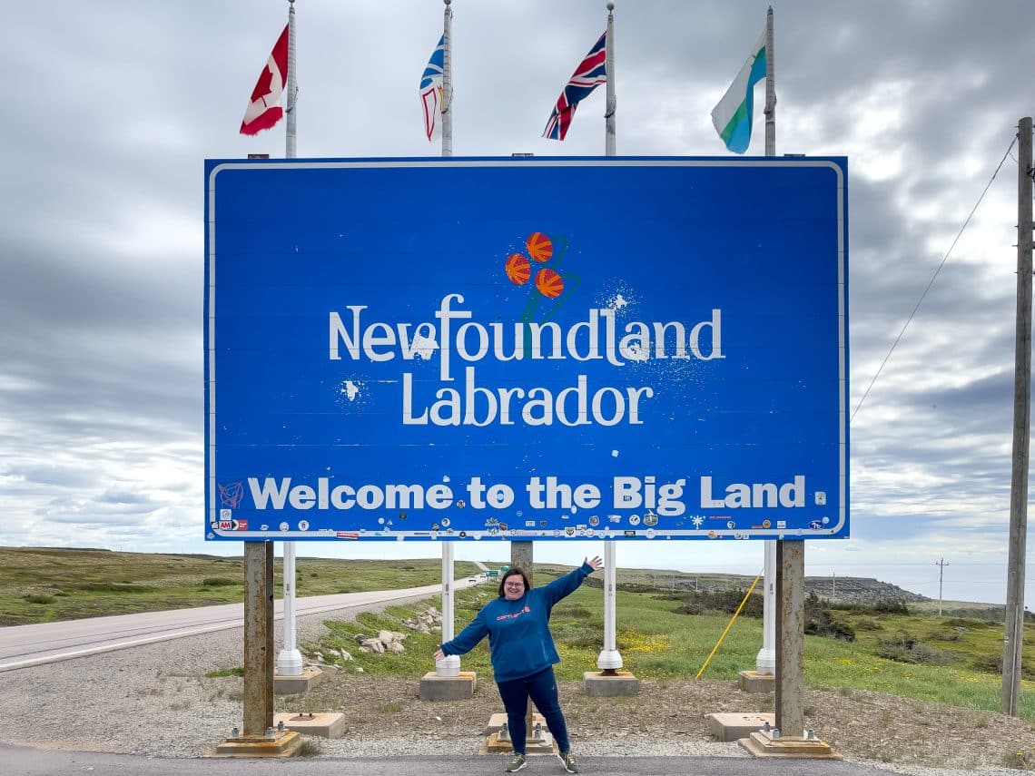 Jennifer Doré Dallas - Affiche du Labrador