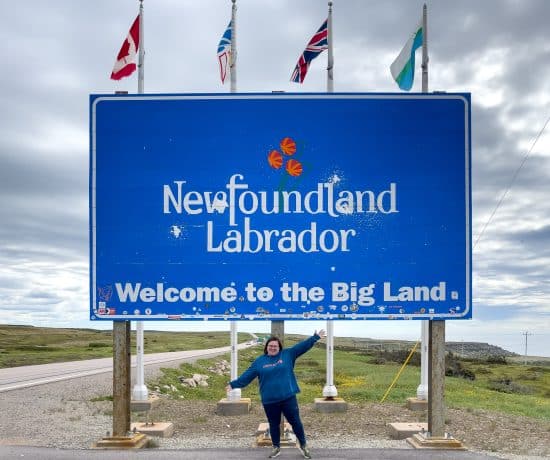 Jennifer Doré Dallas - Affiche du Labrador