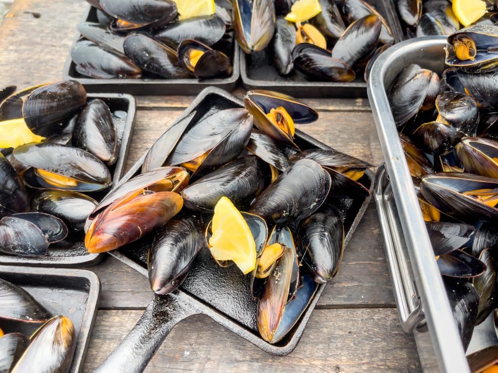 Moules fraîches sur la plage - Activité de dégustation à Twillingate