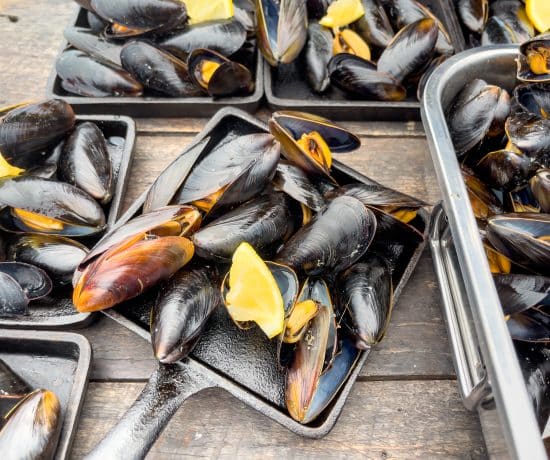 Moules fraîches sur la plage - Activité de dégustation à Twillingate